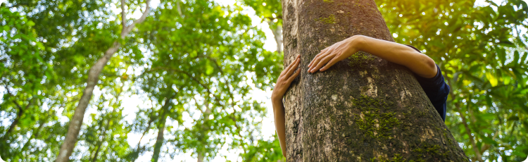 Uma pessoa abraÃ§a uma Ã¡rvore numa floresta luxuriante, simbolizando uma ligaÃ§Ã£o com a natureza e o ambiente