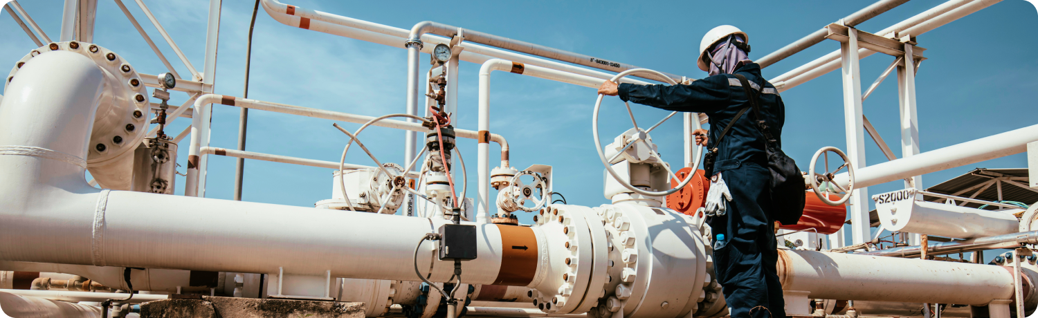 à¸¥à¸à¸à¸¸à¸à¸à¹à¸³à¸¡à¸±à¸ à¸à¹à¸­à¸à¸µà¹à¸¥à¸°à¸à¹à¸­à¹à¸ªà¸µà¸¢