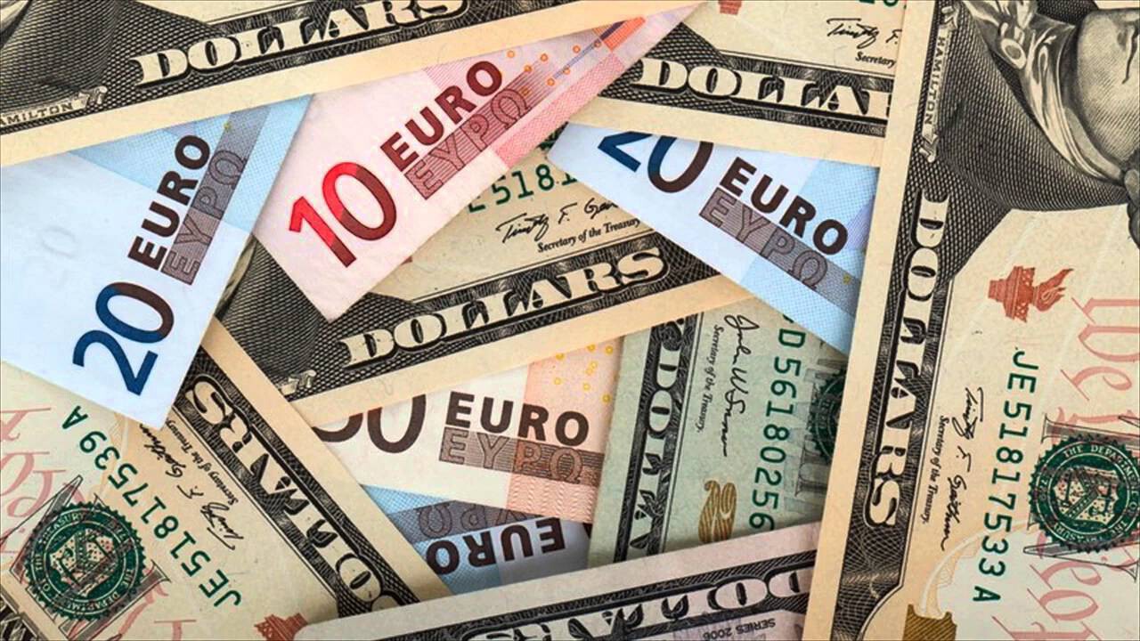 notas de euro y dólar