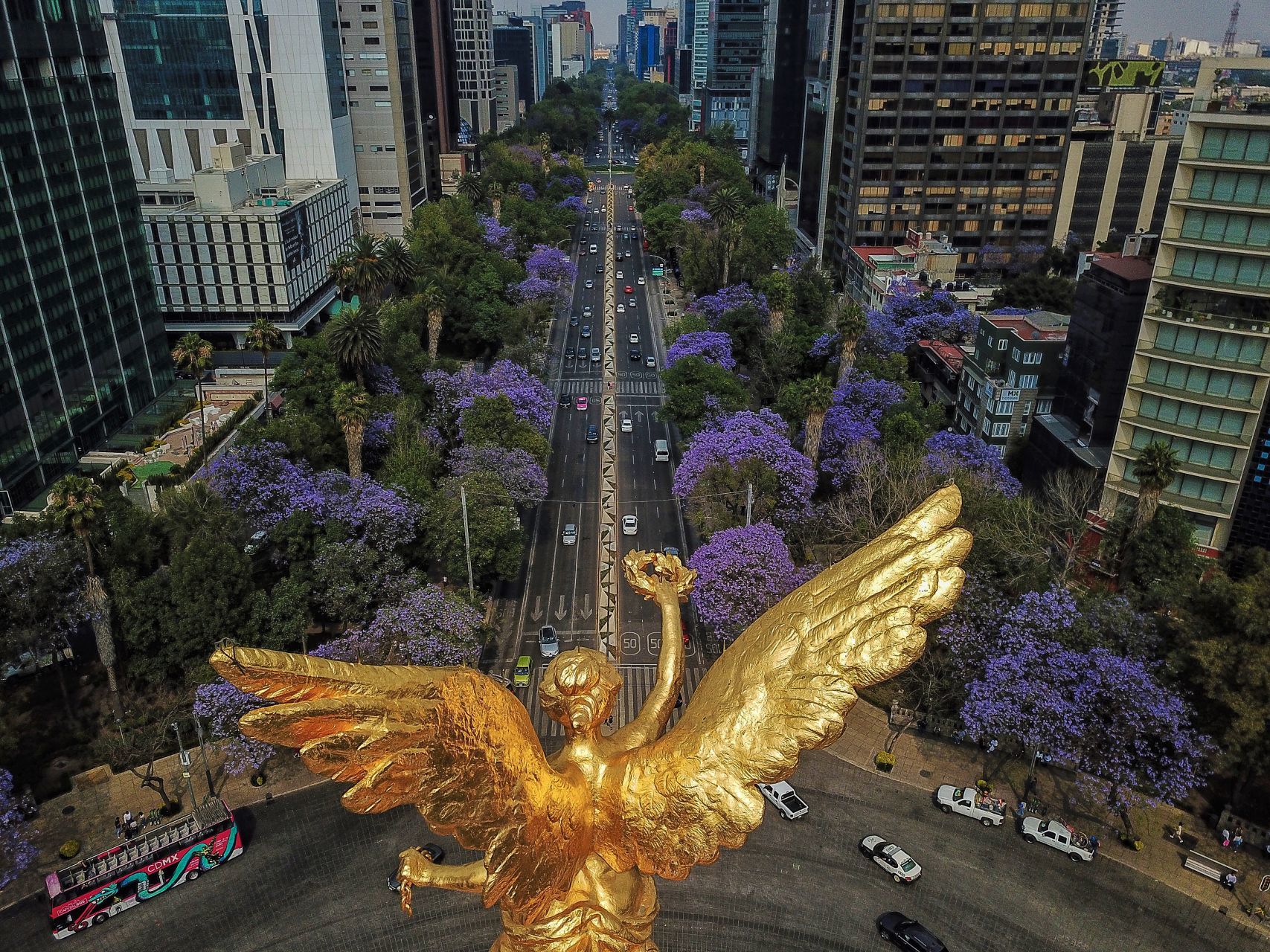 Calle paseo de la REforma en mexico