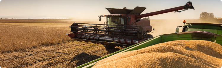 Kombajn wysypujÄcy ziarno do przyczepy podczas Å¼niw, odzwierciedlajÄcy cykle podaÅ¼y i wpÅyw plonÃ³w na ceny towarÃ³w rolnych.