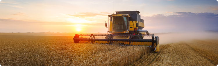 Kombajn koszÄcy pszenicÄ o wschodzie sÅoÅca, ilustrujÄcy produkcjÄ rolnÄ i jej rolÄ w globalnych rynkach towarowych.