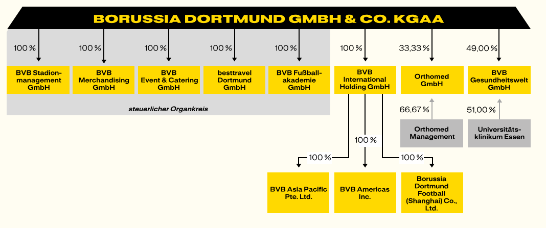 BVB Borussia Dortmund