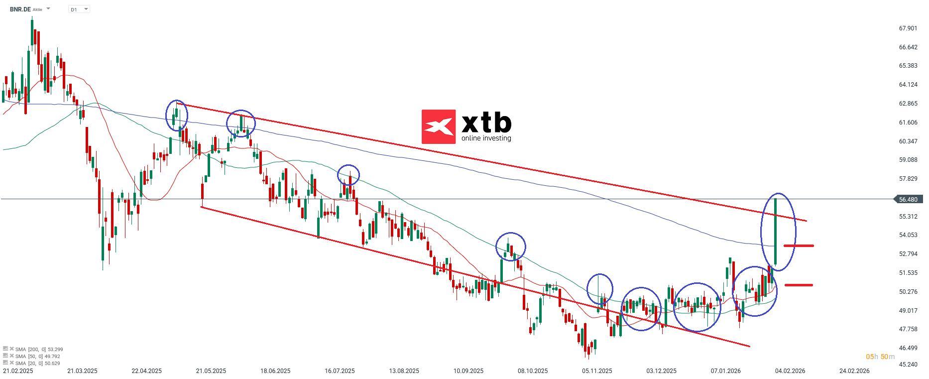 Brenntag Prognose im Tageschart