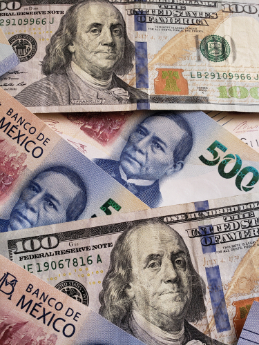 pesos mexicanos y dÃ³lares americanos