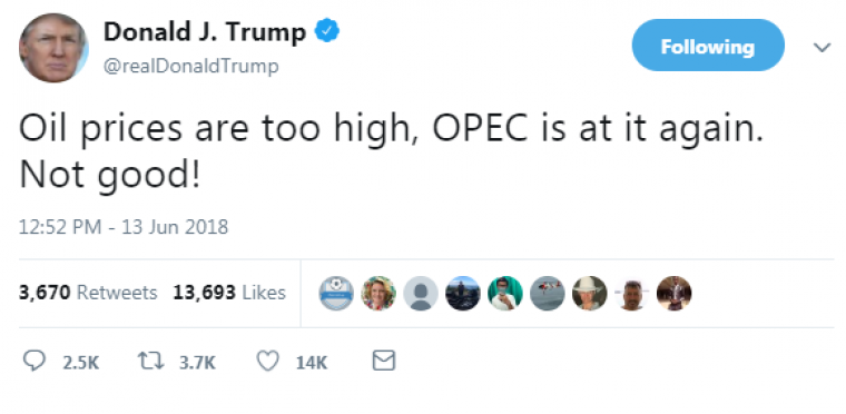 link do file download link