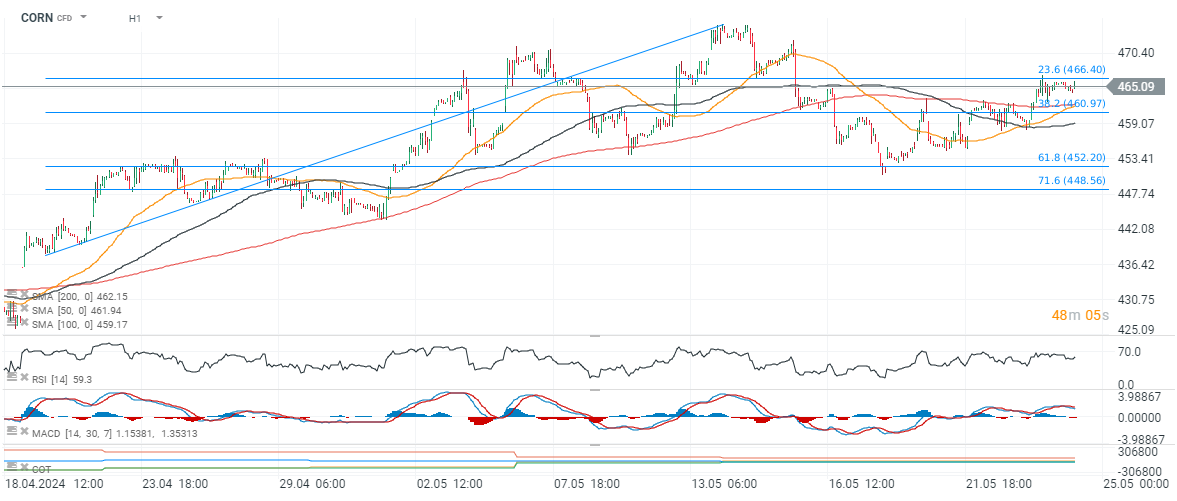 Corn trading idee 24.05.2024