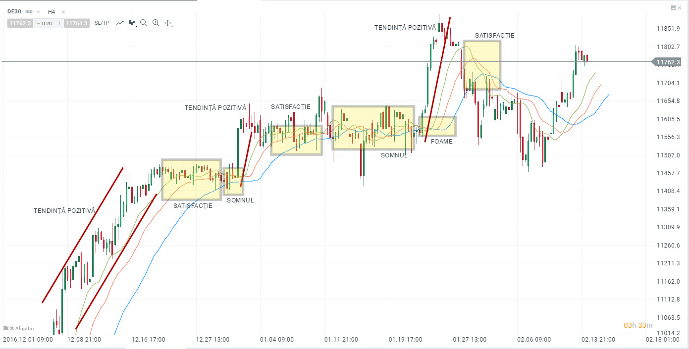 semnale de tranzactionare alligator
