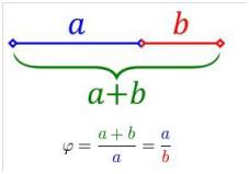 raportul de aur fibonacci