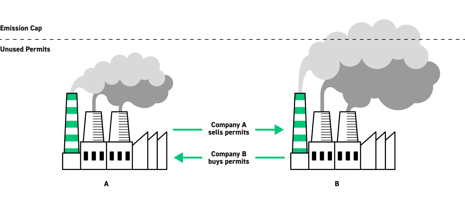 Infografica Investire in CO2