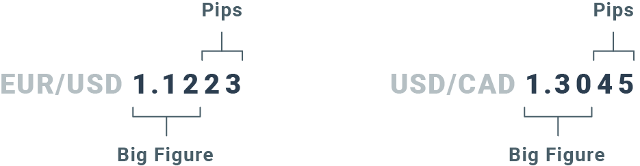 pip punti percentuali