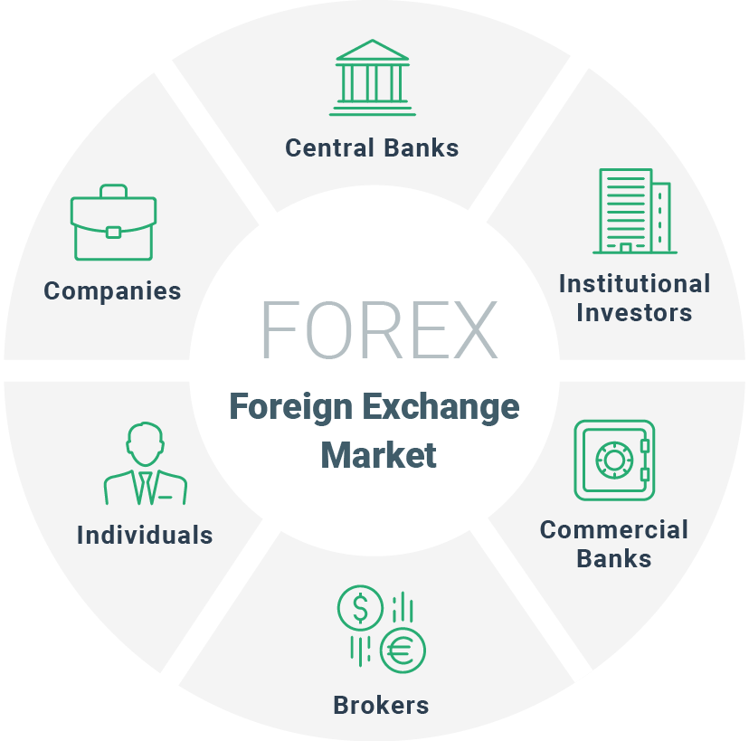 Understanding Forex Trading Key Concepts XTB