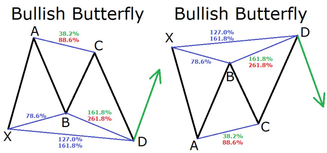 butterfly grafico