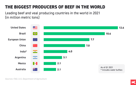 Ø±Ø³Ù Ø¨ÙØ§ÙÙ  ÙØ£ÙØ¨Ø± ÙÙØªØ¬Ù ÙØ­ÙÙ Ø§ÙØ¨ÙØ± ÙÙ Ø§ÙØ¹Ø§ÙÙ ÙÙ Ø§ÙØ±Ø¨Ø¹ Ø§ÙØ£ÙÙ ÙÙ Ø¹Ø§Ù 2021.