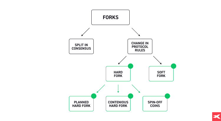 fork na kryptomenÃ¡ch