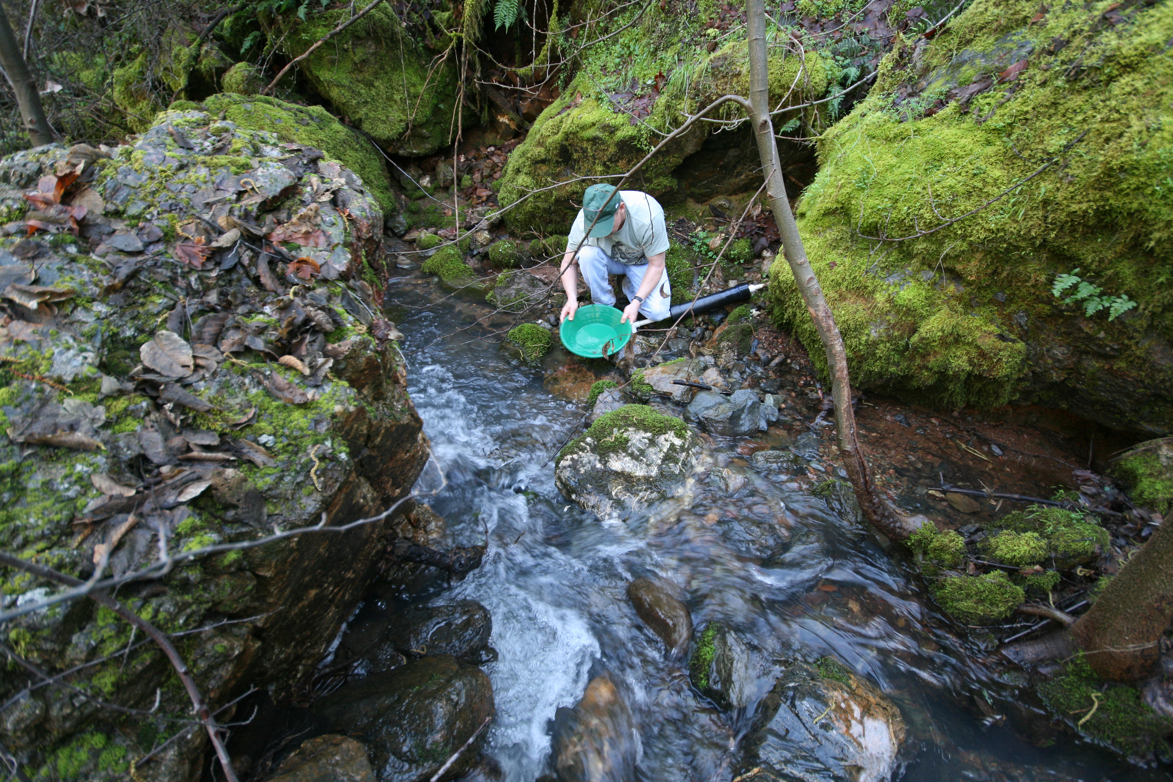 Gold panning