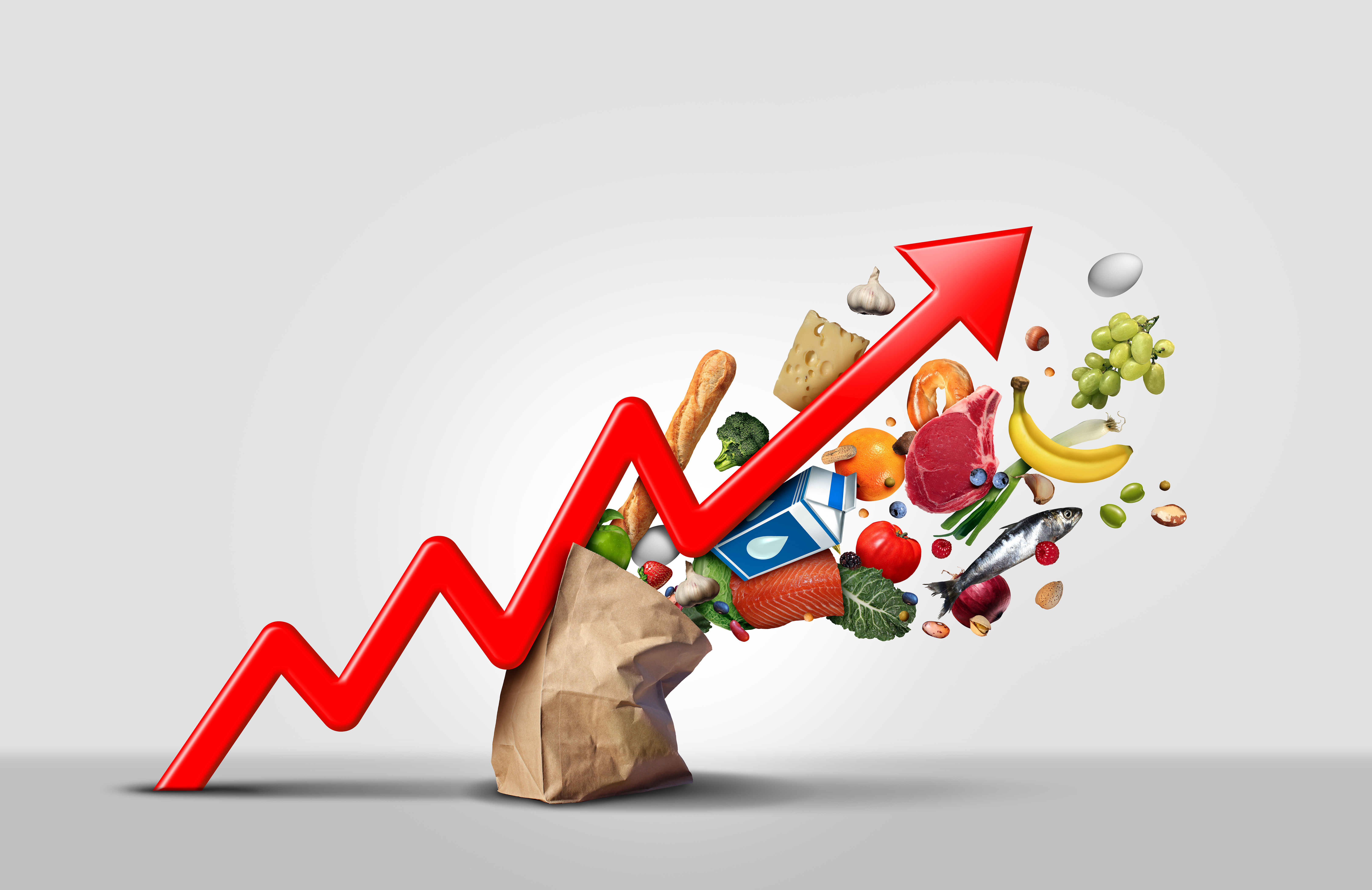 Rising curve of prices of food products