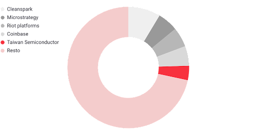 Principales posiciones en el ETF BCHN.UK. Fuente: ElaboraciÃ³n propia