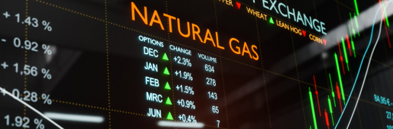 Gashandel: NATGAS