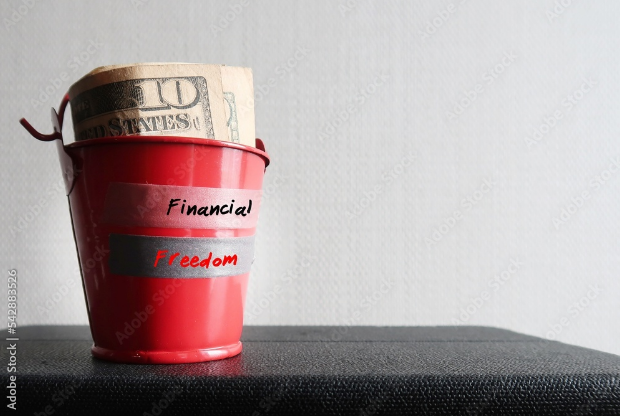 Mini-boÃ®te rouge avec de l'argent et l'Ã©tiquette LIBERTE FINANCIERE