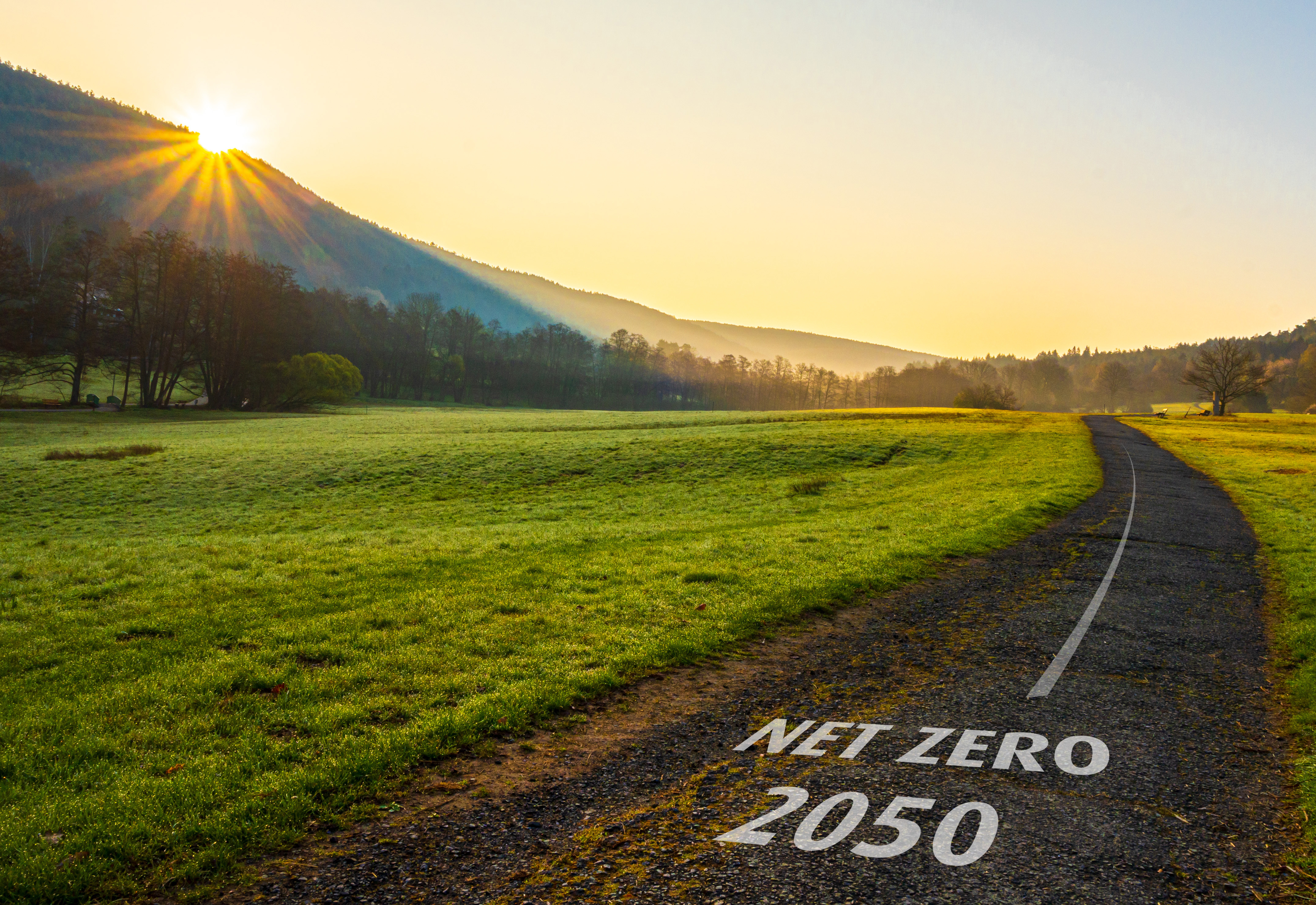 A village road in a beautiful, nature view with ânet-zero 2050â inscription.