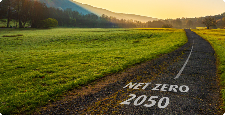  Estrada de aldeia numa bela paisagem natural com a inscriÃ§Ã£o ânet-zero 2050â.