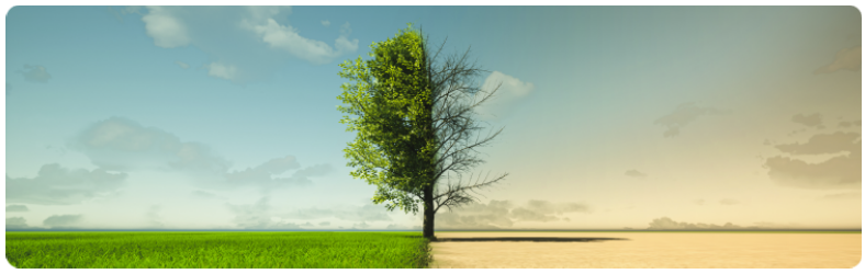 Un arbre solitaire se dresse au centre dâun vaste champ ouvert sous un ciel bleu clair. La partie gauche de lâimage reprÃ©sente la vÃ©gÃ©tation, la partie droite - une zone dÃ©serte avec un arbre mort - fait rÃ©fÃ©rence au changement climatique potentiel.