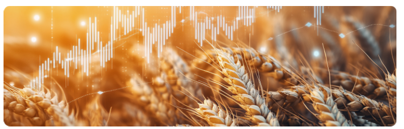 Un champ de blé et de maïs avec un graphique boursier superposé, symbolisant les tendances de lâinvestissement agricole.